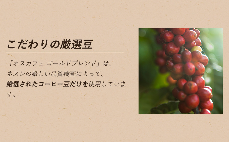 ネスレ日本 ネスカフェ ゴールドブレンド コク深め エコ＆システムパック 55g×12個入 コーヒー豆 インスタントコーヒー 飲み物 ドリンク コーヒーブレイク コーヒータイム 