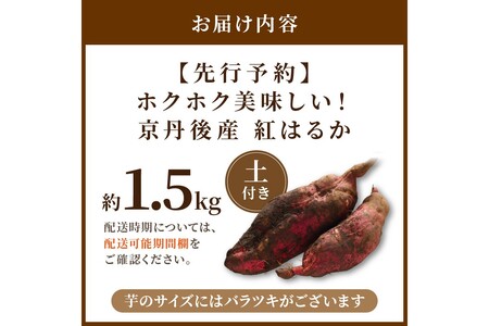 【先行予約】京丹後産 紅はるか 約1.5kg 土付き（2026年10月上旬～発送）