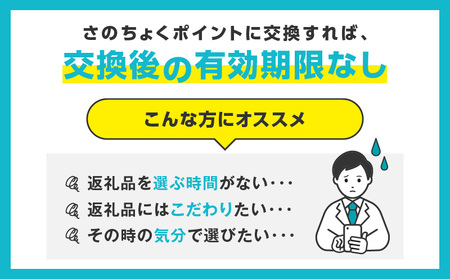 あとから選べる！さのちょくギフト（寄附1,000,000円コース）【大阪府泉佐野市】肉 カニ おせち うなぎ 日用品 など約2,000品以上掲載 あとからセレクト