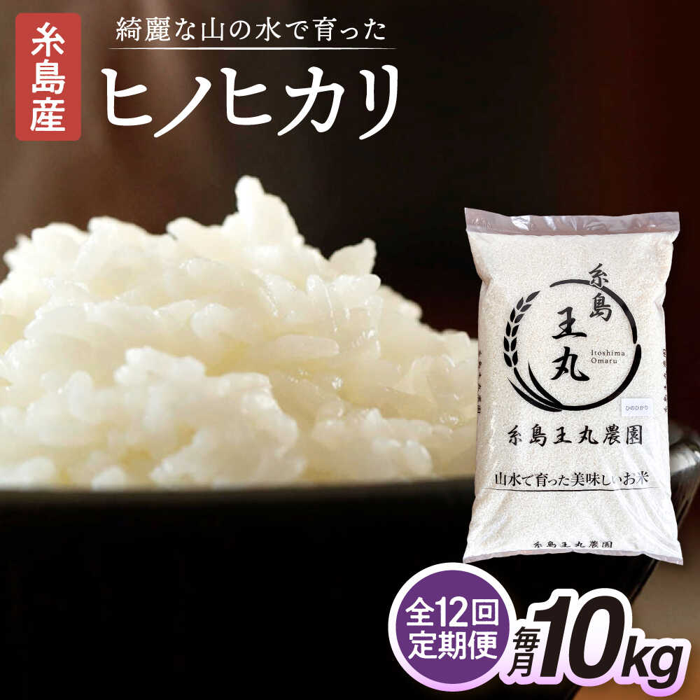 【ふるさと納税】【全12回定期便】糸島産 ヒノヒカリ 10kg × 12回 糸島市 / 糸島王丸農園 ( 谷口汰一 )【いとしまごころ】 [AAZ017] 常温 20万円 200000円