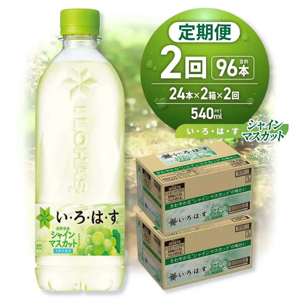【２ヶ月定期便】い・ろ・は・す シャインマスカット540mlPET×48本｜コカ・コーラ 飲料 ドリンク 飲み物 水 北海道 札幌市