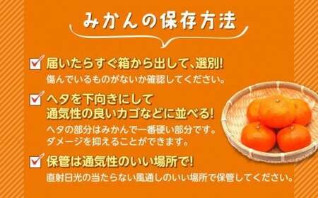 ゆら 早生 みかん 静岡県産 約5kg 