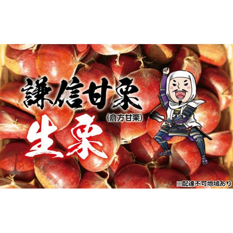 栗 倉方甘栗 生栗 2kg(1kg×2)【氷蔵熟成栗謙信甘栗】 新潟 新潟県産