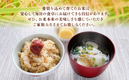 【先行予約】米 令和7年産 ハナエチゼン 30kg（玄米）【2025年9月上旬以降順次発送予定】 [m76-d001]