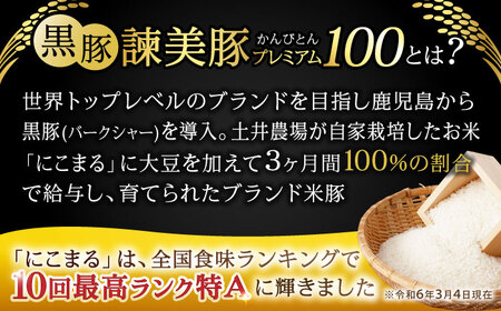 【特Aのブランド米で育てた】黒豚諫美豚プレミアム100 原木生ハム 8kg / 豚肉 ぶたにく 肉 ハム はむ モモ もも 原木 げんぼく / 諫早市 / 株式会社土井農場[AHAD093]
