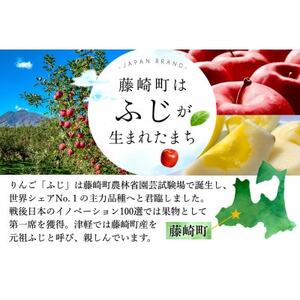 元祖ふじ100% 無添加生搾りジュース FUJI ORIGINAL 1000ml×6本_飲料・ドリンク りんごジュース 果汁飲料 林檎ジュース アップルジュース リンゴジュース_【配送不可地域：離島・