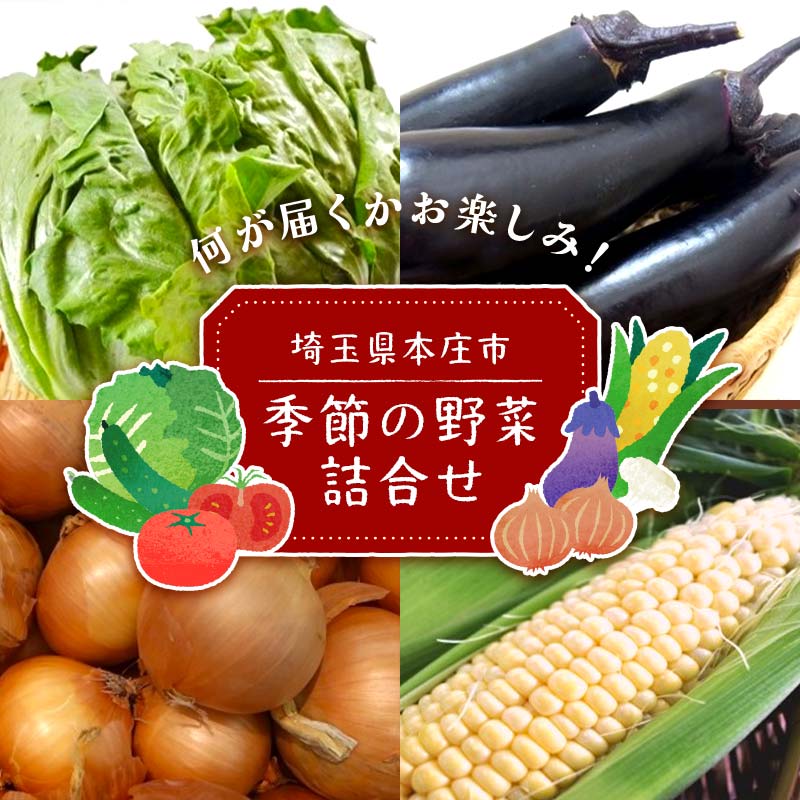 【ふるさと納税】季節の野菜詰合せ 本庄産 旬 野菜 セット 詰合せ ご当地 生鮮品 食品 関東【埼玉ひびきの農業協同組合】【hnj13-001】