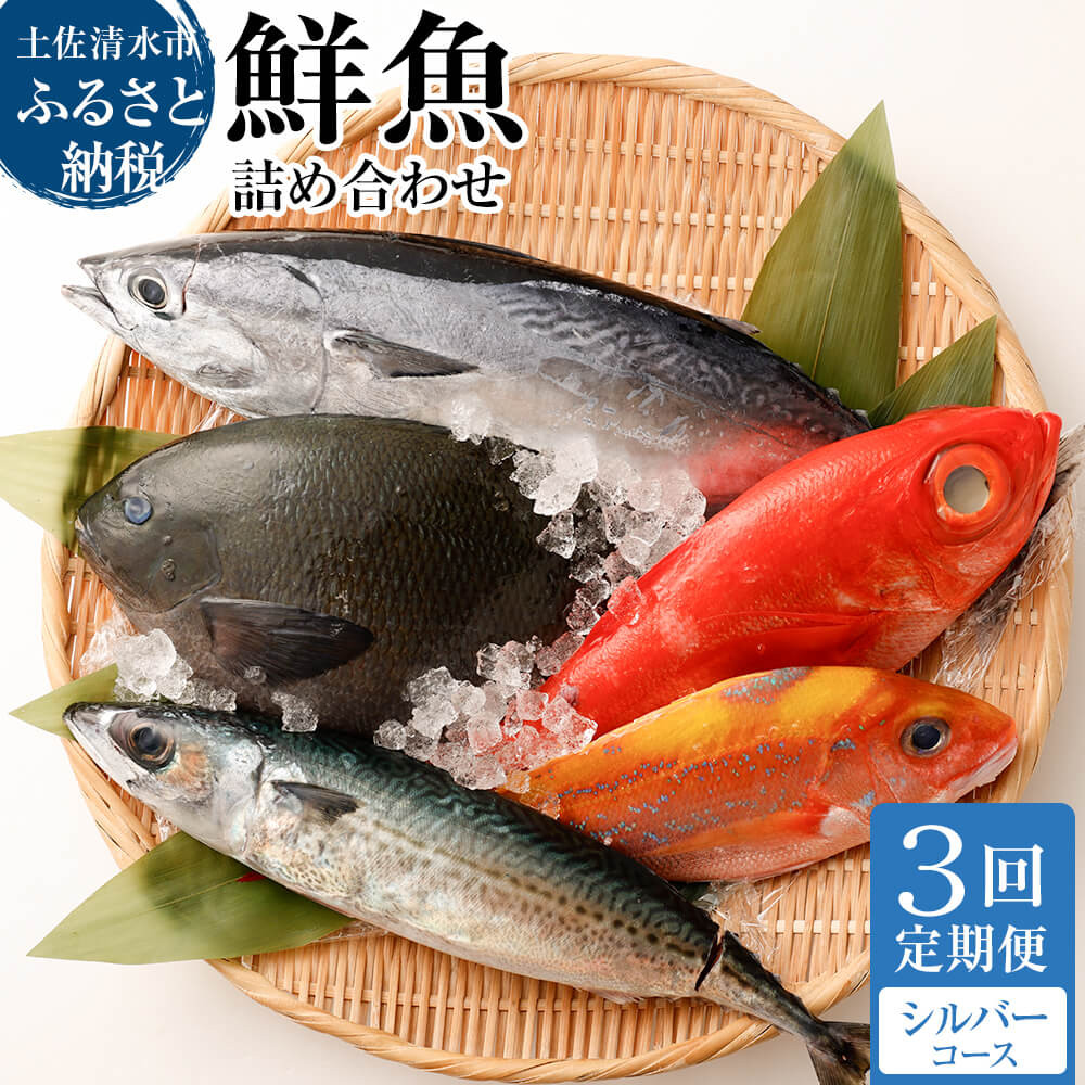 
            <3回定期便> 季節の鮮魚 おまかせお楽しみセット（シルバーコース）鮮魚 ボックス 詰め合わせ 天然魚 食べ比べ 魚介類 海鮮料理 魚 新鮮 刺し身 煮付け お楽しみ 定期便 3ヶ月 高知【J00034】
          