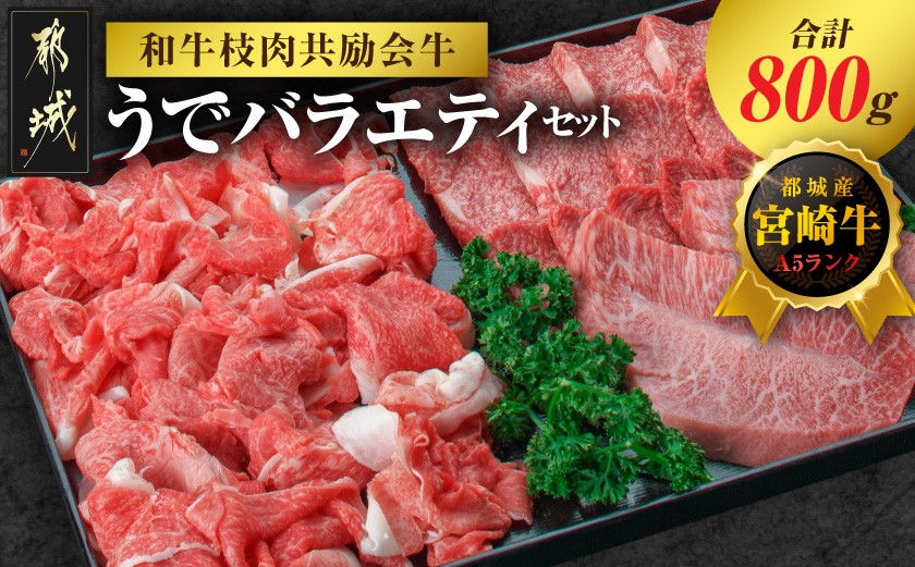 
                  【和牛枝肉共励会牛】(A5)宮崎牛うでバラエティセット_21-25-010_(都城市) 宮崎県 宮崎牛 ウデ 肩 ミスジ ステーキ 焼肉 切り落とし 真空 品評会出展牛 特別セット
                