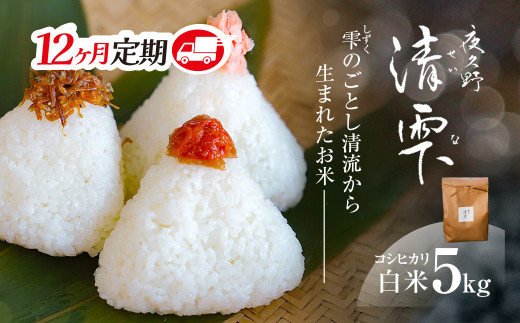 ＜12ヶ月定期便＞＜令和7年産＞ 京都夜久野産 清雫(せいな) コシヒカリ 白米 (5kg×12回) 【fc-DB006-B12】【合同会社夜久野清雫】