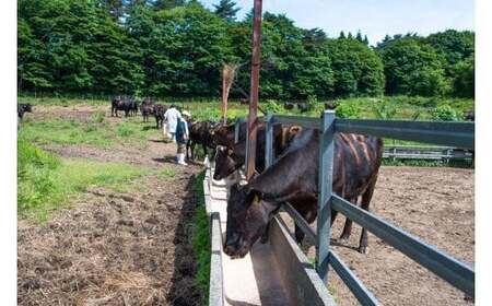 きたかみ牛 牛肉 切り落とし 600g 数量限定 A5 A4 人気 肉  お歳暮 忘年会 贈答用 牛切り落とし しゃぶしゃぶ すき焼き 焼肉 BBQ 岩手県 北上市 E0162（お肉のたかゆう） 肉 