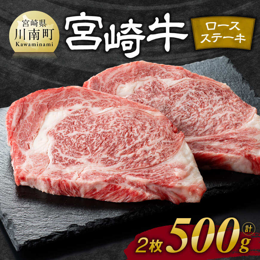 宮崎牛ロースステーキ2枚500g　牛肉 宮崎牛[E11106]