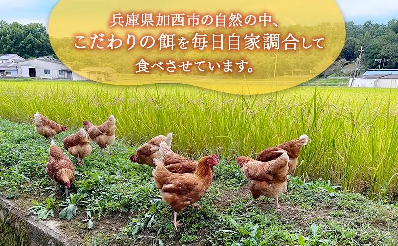 卵 "有無ファーム"のこだわり平飼い卵 10個パック(有精・無精卵各5個)Mサイズ以上 鶏卵 たまご 平飼い