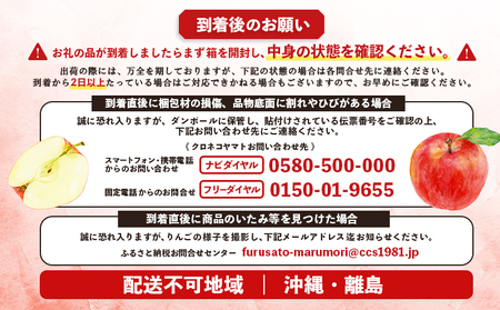 【先行予約】《2026年12月上旬～12月下旬出荷》宮城県丸森町産　葉とらずふじりんご　14～18個入り（約5kg）　1箱【48001】
