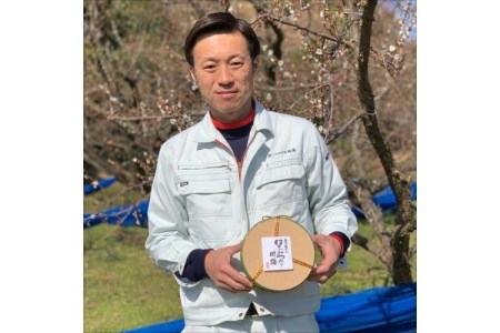 贈答 紀州南高梅 はちみつ梅木樽入り 1kg