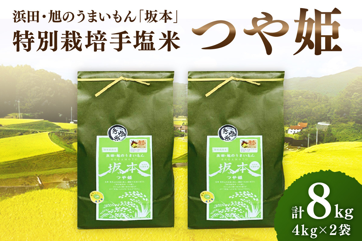 
【令和6年産】浜田・旭のうまいもん「坂本」特別栽培手塩米つや姫　4㎏×2袋 米 お米 特別栽培米 つや姫 精米 白米 ごはん 米【1038】
