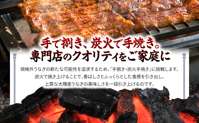 クラウドファンディングで応援！【全12回定期便】鰻の蒲焼 8尾（170g×8）　KN026-T10