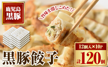 【A02046】黒豚餃子セット(12個入×10パック) 鹿児島 国産 九州産 自家農場 黒豚 黒ぶた 豚肉 冷凍 餃子 ギョーザ ぎょうざ おかず 惣菜【和田養豚】