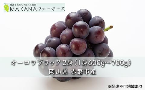 ぶどう 2024年 先行予約 オーロラ ブラック 2房（1房600g～700g） 大粒 種無し ブドウ 葡萄 岡山県 赤磐市産 国産 フルーツ 果物 ギフト MAKANAファーマーズ