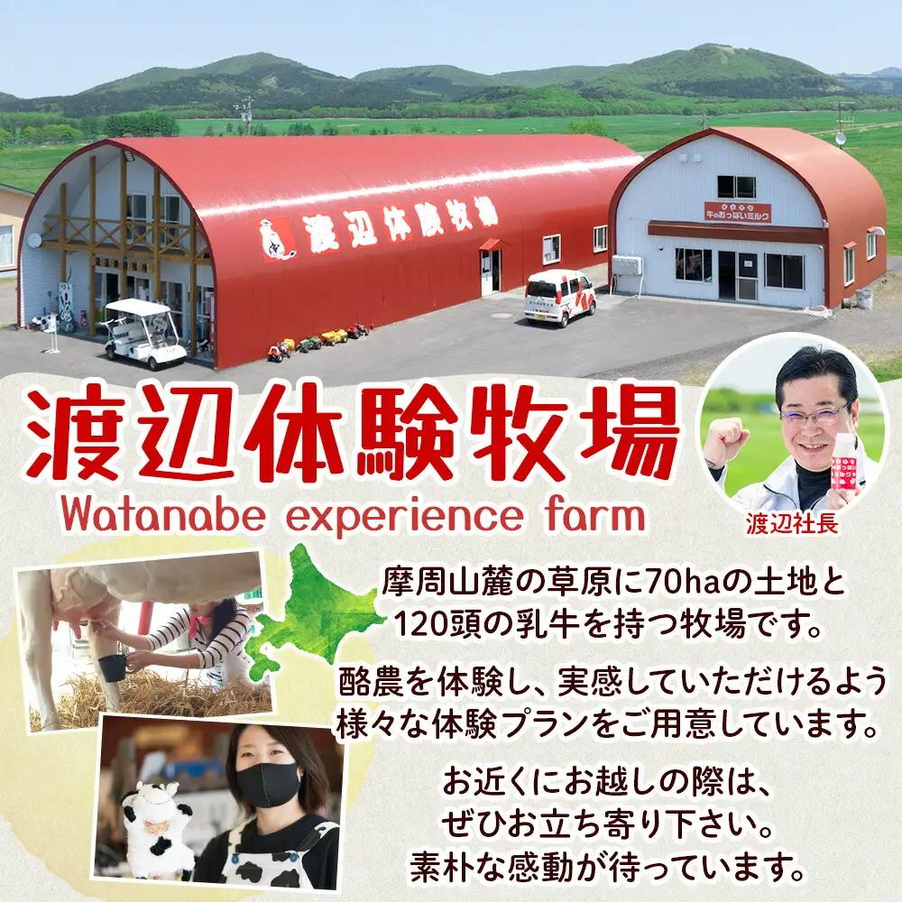 牛のおっぱいミルク 5本 コーヒーミルク5本 のむヨーグルト5本 計15本 おっぱいミルクキャンディー1個 セット 牛乳 生乳 ミルク 牛 酪農 飲料 しぼりたて 珈琲 ヨーグルト 飴 お取り寄せ ギ