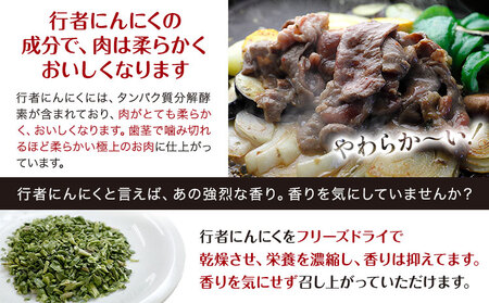 北海道産 行者にんにく 餃子 1.1kg (220g×5) 小分け 浦幌町