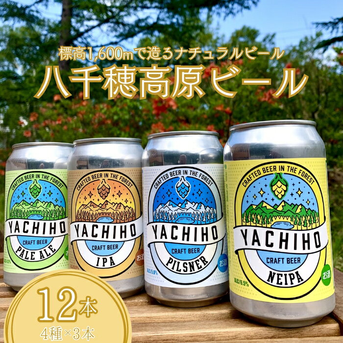 【ふるさと納税】高原の湧水でつくるクラフトビール　八千穂高原ビール　350ml×12本セット（4種×3本）[YB-101]