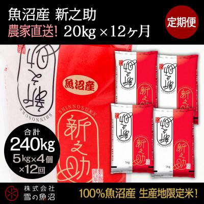 ふるさと納税 十日町市 【毎月定期便】【中里地域限定!魚沼産 新之助】20kg(5kg×4袋)×12 合計240kg全12回
