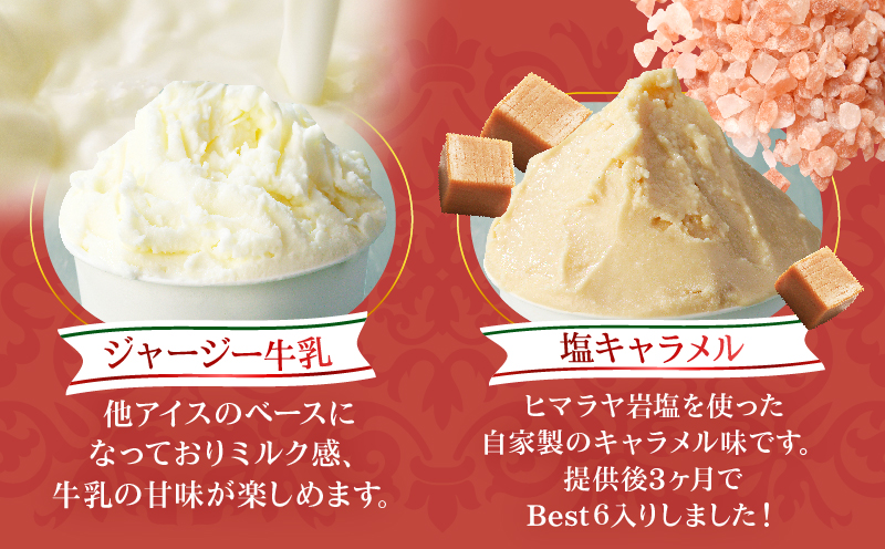 本場イタリア仕込み！GENOVA Best8 アイスクリーム ＜130ml×8個セット＞ 130ml×8個セット