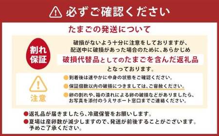 赤穂の源 50個（40個+割れ保証10個）（25×2パック） 鶏卵 卵 たまご 卵かけご飯 卵焼き 朝ごはん ご飯 ご褒美 冷蔵 兵庫県 赤穂市