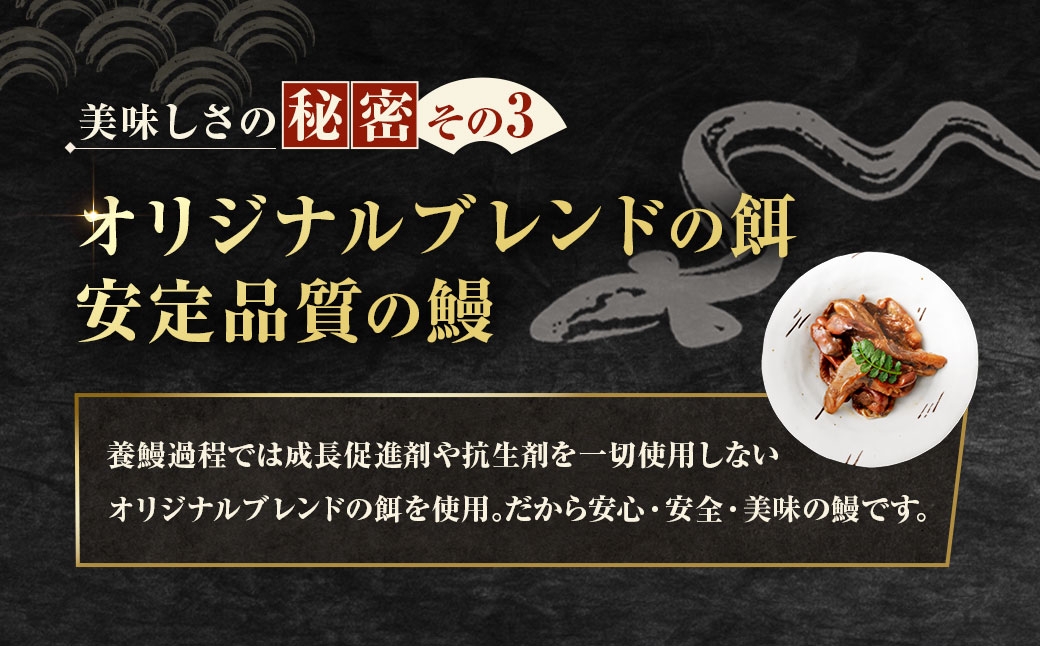 めぐみうなぎの肝お酒のおつまみ50g×3パック