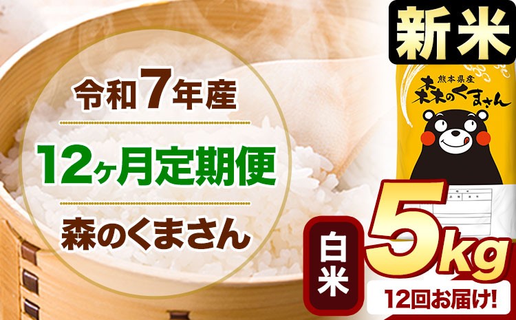 
            【12ヶ月定期便】新米 令和7年産 白米  森のくまさん 5kg 5kg×1袋  《1月から出荷開始》 熊本県産 白米 精米 米 こめ コメ お米 kome
          