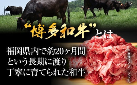 訳あり 博多和牛切り落とし 5kg 黒毛和牛 お取り寄せグルメ お取り寄せ 福岡 お土産 九州 福岡土産 取り寄せ グルメ MEAT PLUS CP033