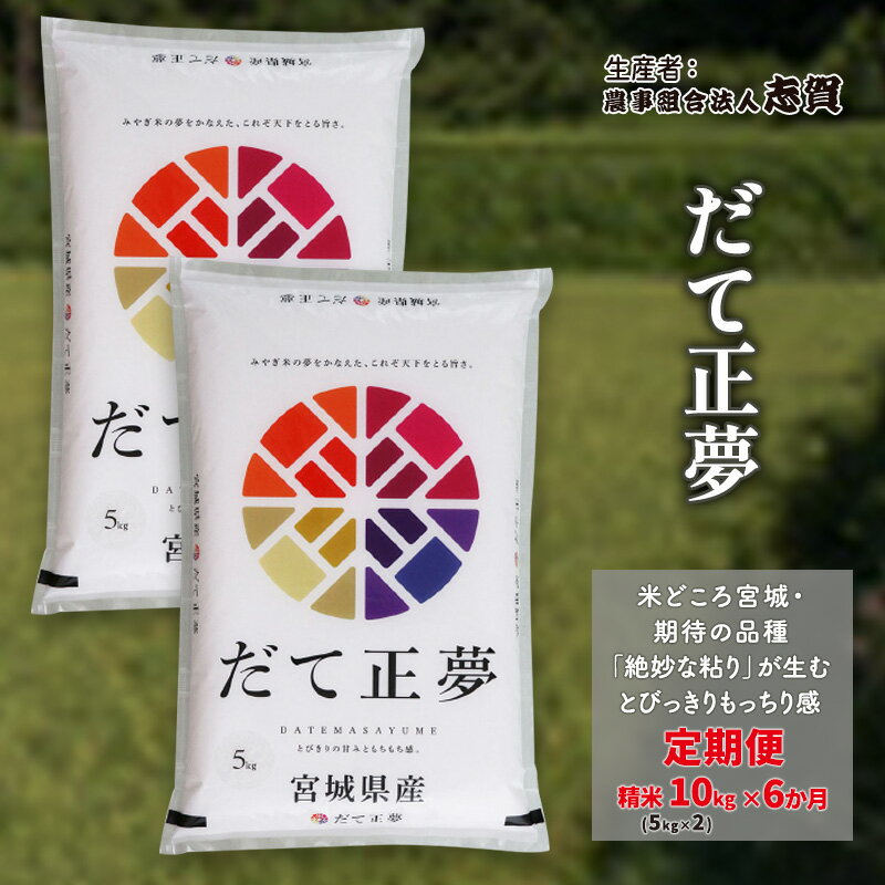 【ふるさと納税】【令和7年度産新米】米 定期便 6ヶ月 だて正夢 10kg (5kg×2) 志賀沢米 岩沼産お米 白米 精米 ブランド米 単一原料米 5キロ 10キロ こめ コメ おこめ ご飯 ライス だてまさゆめ 東北 宮城県 岩沼市　お届け：2025年10月中旬～2026年3月下旬