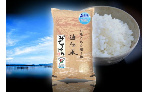 【令和元年産】滋賀県産 環境こだわり栽培米みずかがみ無洗米6回コース定期便【10kg×6回】【BN05U】