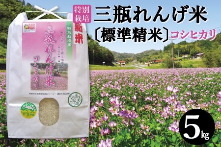 〈標準精米〉特別栽培 三瓶れんげ米 コシヒカリ 5kg【令和6年産 お米 5kg こしひかり 標準精米 2024年産 特別栽培米 1等米 無化学窒素肥料 減農薬米】