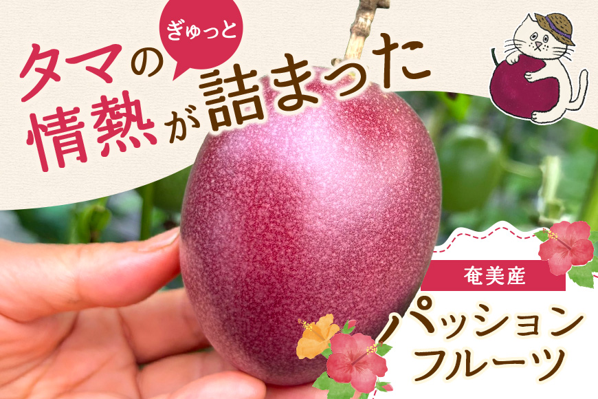 【2027年先行予約】【情熱のタマ】奄美産パッションフルーツ 3.5kg（45玉前後）　A203-001-02