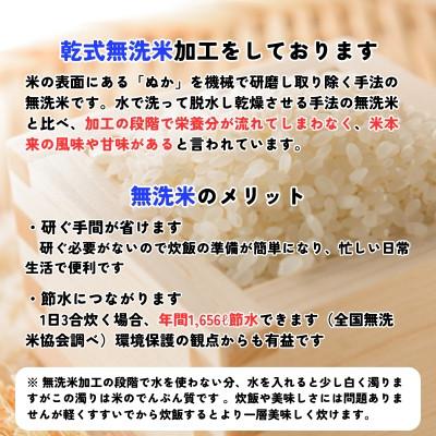 ふるさと納税 盛岡市 【毎月定期便】《特A7年連続受賞中》令和7年産 盛岡市産銀河のしずく 無洗米 5kg全6回 |  | 03