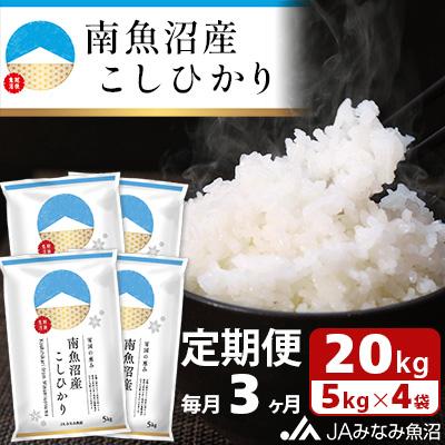ふるさと納税 南魚沼市 【毎月定期便】南魚沼産こしひかり 精米 20kg(5kg×4袋) 全3回