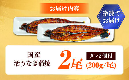 国産 活うなぎの蒲焼 2本入 鰻 [AICQ005] 