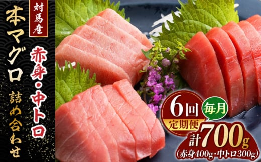 【全6回定期便】対馬産 本マグロ 700g（赤身400g、中トロ300g） ≪対馬市≫【桐谷商店】 トロの華 対馬 新鮮 マグロ トロ 鮪 刺身 鮮度抜群 [WAQ049]