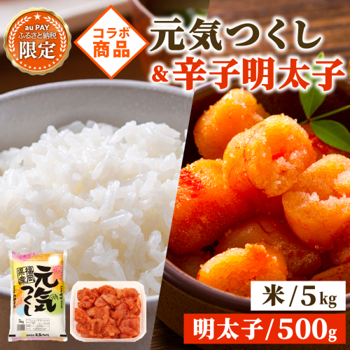 【auPAYふるさと納税限定】福岡県産元気つくし5kg & 訳あり！博多の味本舗の辛子明太子（切れ子）500g【無着色】