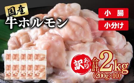 訳あり牛ホルモン2㎏ 小分け200g×10 国産 ホルモン もつ鍋 焼肉用 国産牛 牛モツ コラーゲン＜58-49a＞
