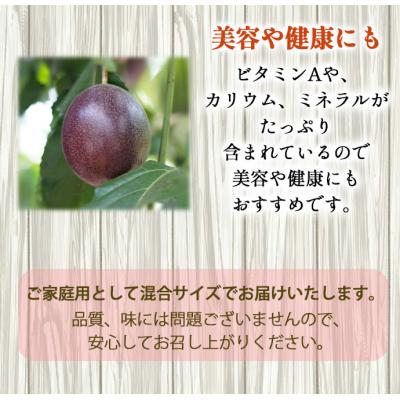 ふるさと納税 天城町 【2026年発送】先行受付 徳之島 天城町産 パッションフルーツ ご家庭用 1kg トロピカル |  | 02