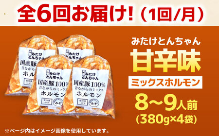 【6回定期便】 「元祖みたけとんちゃん」 昔ながらのミックスホルモン 4袋 / モツ もつ レバー ホルモン / 御嵩町 / 藤よし[AVAA089]