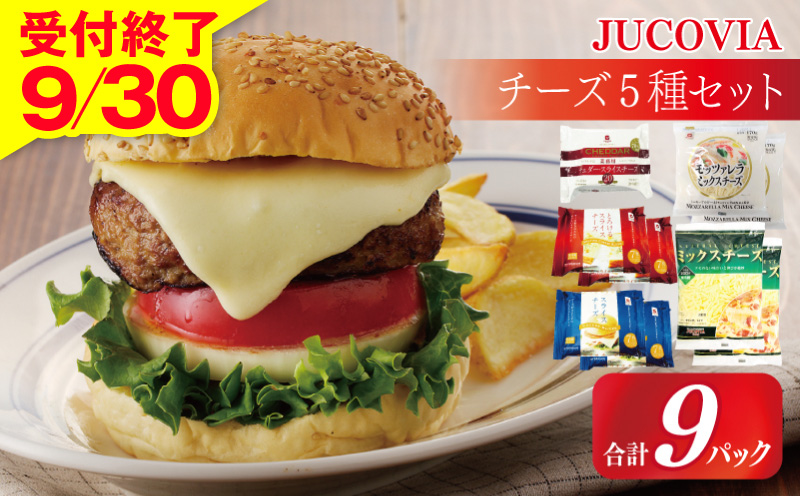 【9/30受付終了】JUCOVIA スライスチーズ3種・シュレッドチーズ2種セット 合計9P【ムラカワチーズ 食べ比べ セット 詰め合わせ 小分け 普段使い 高評価 ちーず】 010B1641