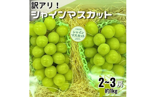 
＜訳あり＞シャインマスカット2～3房　約1kg【1454125】
