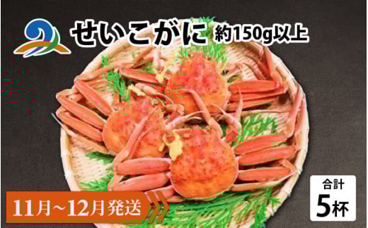 せいこがに 約150g以上×5杯【順次発送中】