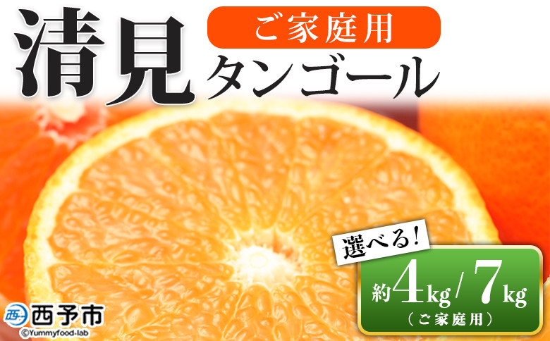 
愛媛県西予市産 清見タンゴール ご家庭用 約4kg／7kg　訳あり ワケアリ 果物 フルーツ みかん ミカン 蜜柑 オレンジ きよみ キヨミ 柑橘類 食べて応援 旬 特産品 宇都宮物産 愛媛県 西予市【常温】
