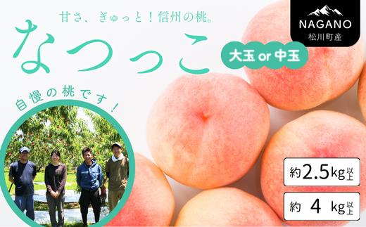 
            【先行予約】 桃 なつっこ 大玉 or 中玉  約2.5kg以上 ～ 4kg以上／2026年8月上旬～8月中旬頃 発送予定｜長野県 南信州 松川町産 モモ もも  贈答 産地直送 新鮮 特大 中玉 選べるサイズ 川中島白桃 あかつき かけ合わせ KM
          