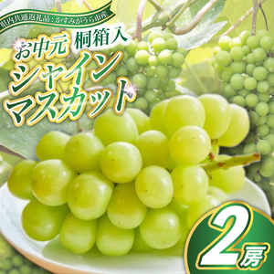 【お中元 熨斗付】 シャインマスカット 桐箱入り 2房 ＜2026年8月より順次発送＞ 先行予約 ギフト 贈答 ぶどう ブドウ 葡萄 フルーツ 茨城 新鮮 (県内共通返礼品:かすみがうら市産) (BR106)